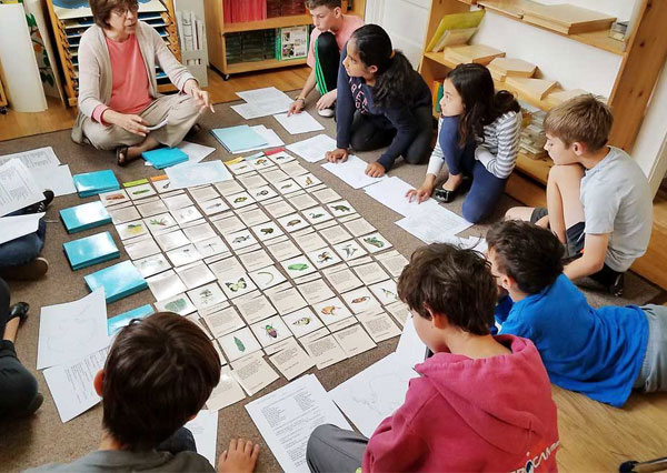 Educational Board Games For Upper Elementary