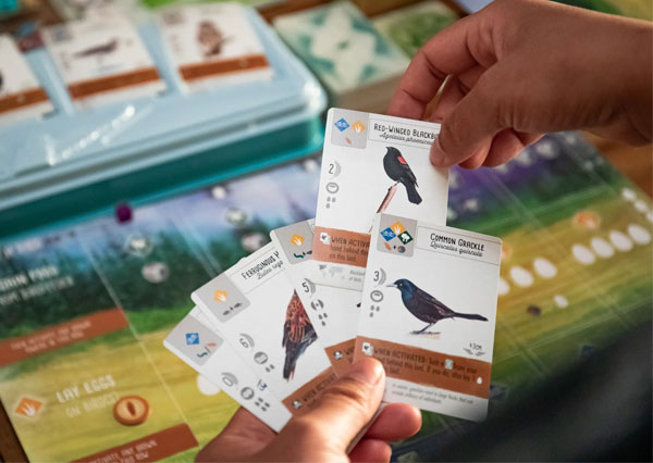 Science & Nature Board Game