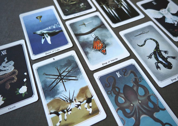 Animal Tarot Cards