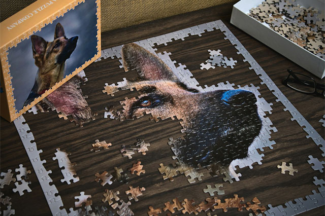 Bild des Puzzles